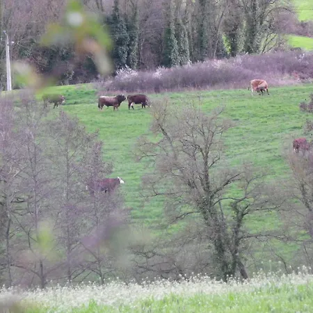 Le Donjon De La Reine Margot 3* Beaumont (Haute-Loire)