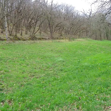 Le Donjon De La Reine Margot Beaumont (Haute-Loire)