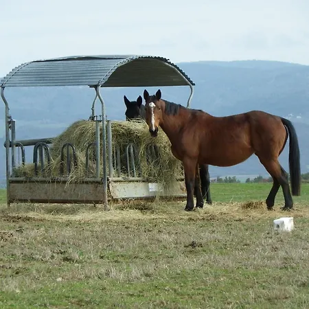 Le Donjon De La Reine Margot Bed & Breakfast