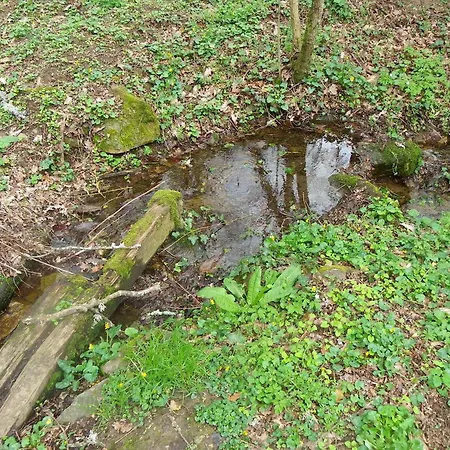 Couette-café Le Donjon De La Reine Margot Beaumont (Haute-Loire)