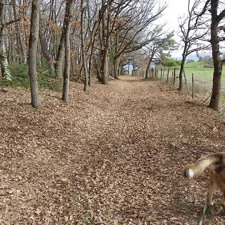 Bed & Breakfast Le Donjon De La Reine Margot