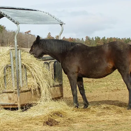 Le Donjon De La Reine Margot Beaumont (Haute-Loire)