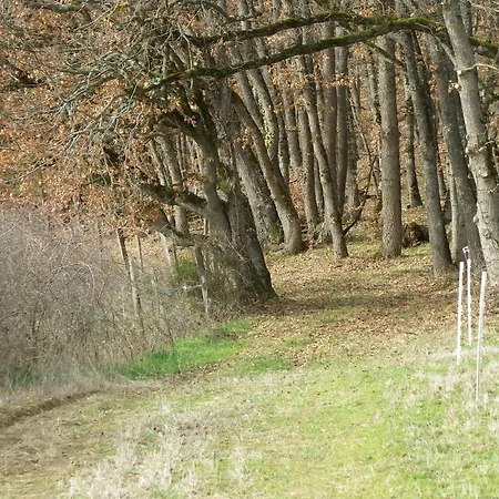 Le Donjon De La Reine Margot 3*